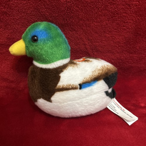 Wild republic bird - republic, mallard
