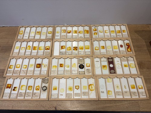 Antique 1900s cased group - cased,