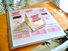 Insect Bug Roach Spider Creepy