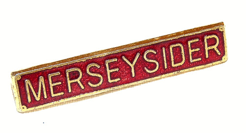 Merseysider enamel metal - enamel,