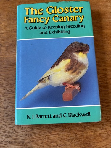The gloster fancy canary a - fancy,