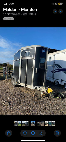 Ifor williams horse trailer - horse,