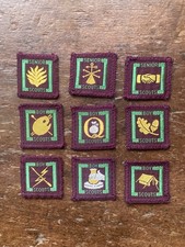 Nine 1950/60's Senior Boy Scout Proficiency Badges Meteorologist Electrician Etc