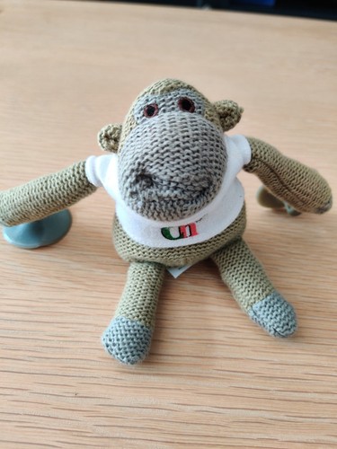 Tips monkey chimp - pg,