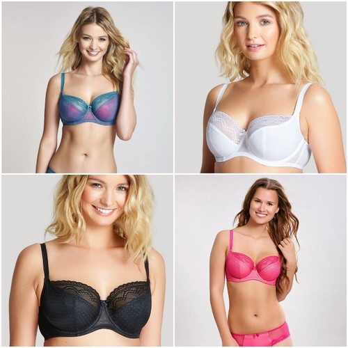 Cleo panache hettie - cleo,