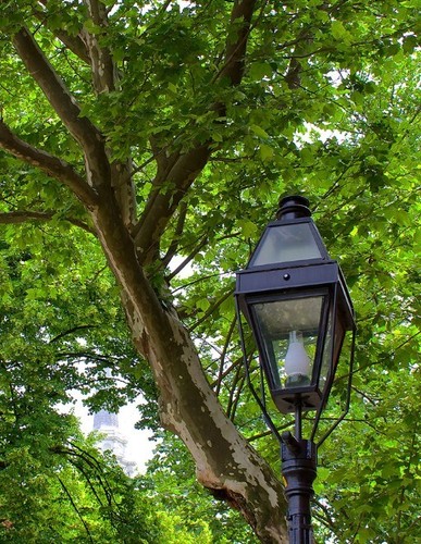 Colonial boston design vintage - boston,