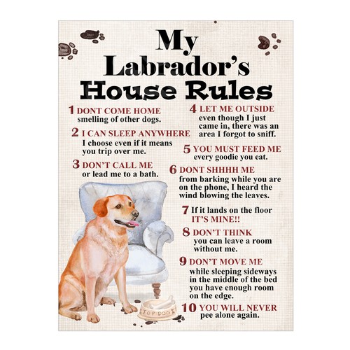 Labrador house rules dog - my, labrador's