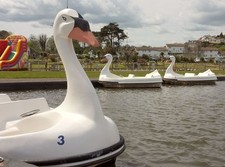 Photo 6x4 Swan pedalos