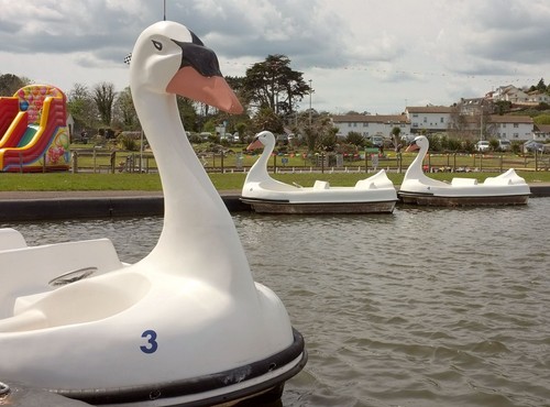 Photo 6x4 swan - 6x4, pedalos
