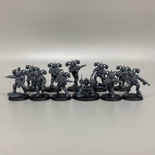 KILL TEAM TEMPESTUS AQUILONS