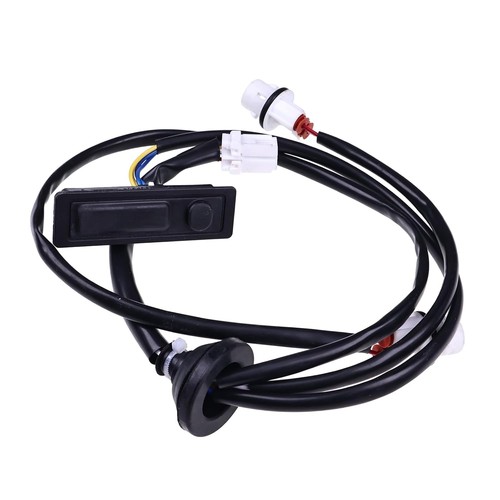 Tailgate release switch - release, trunk