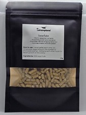 Snowflake Shrimp and Snail