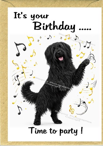Briard dog birthday - briard, card