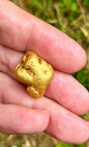 Alaskan gold nugget huge 5 - alaskan, 16.5