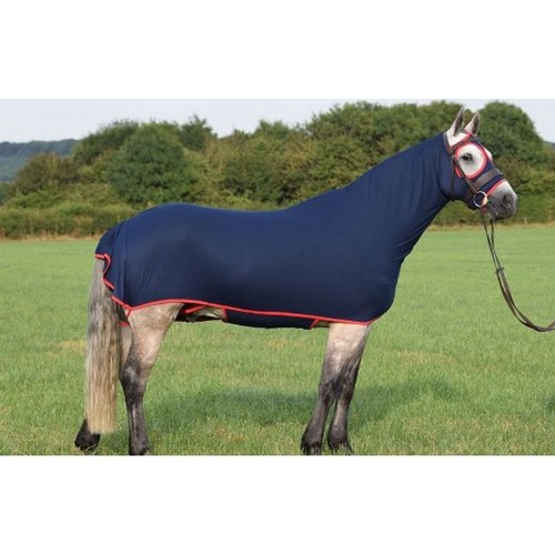Belvoir rug company honsie - belvoir,