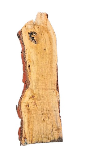 English oak live - english, edge