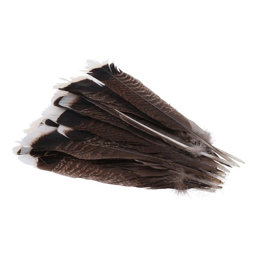 10inch natural quill - 8-10inch,