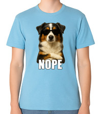 Stubborn Australian Shepherd