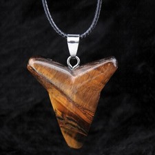 Shark Tooth Necklace Chakra