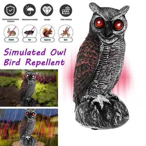 Solar owl decoy deterrent bird - decoy,