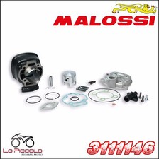 3111146 CYLINDER MALOSSI 65CC D.47 DERBI PREDATOR 50 2T LC CAST IRON H2O SP.10