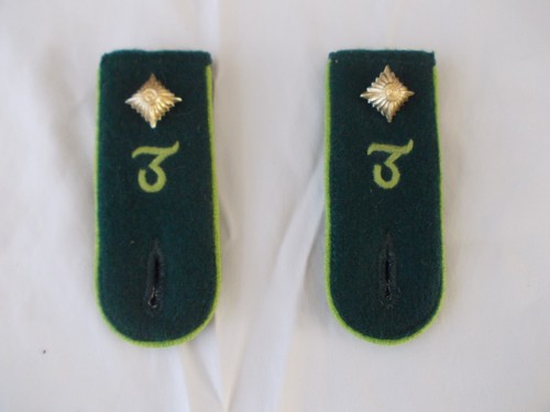 Panzer lehr shoulder boards - lehr,