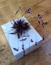 Hobbs  Stunning  Purple