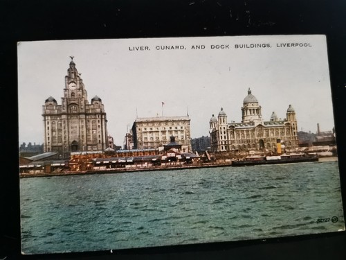 1900s postcard liver - postcard, of