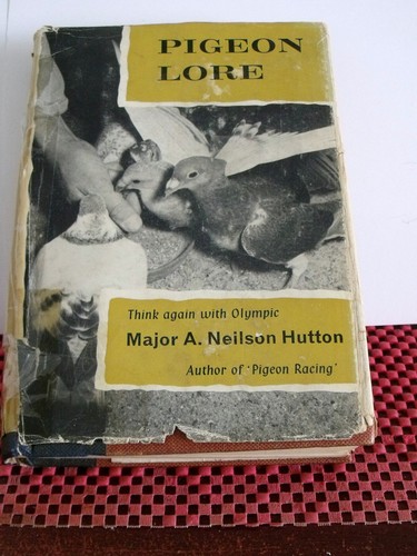 Vintage hardback book pigeon - hardback, book,