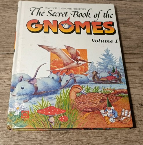The secret book - book, gnomes