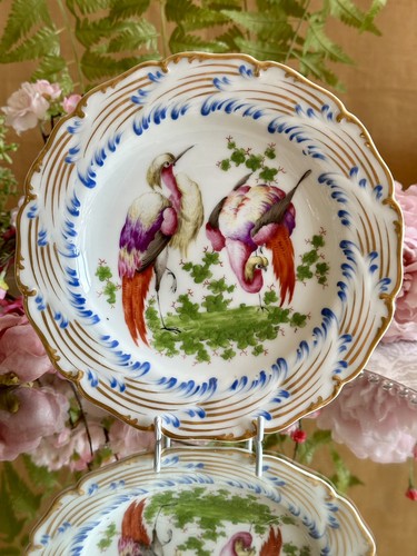 Antique chelsea porcelain - antique,