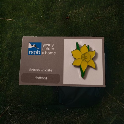Rspb pin badge daffodil - daffodil,