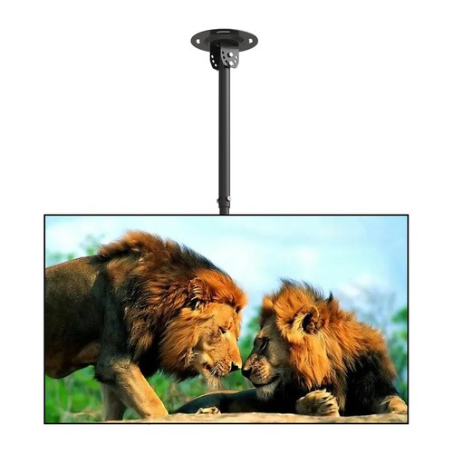 Ceiling wall mount fits - ceiling,