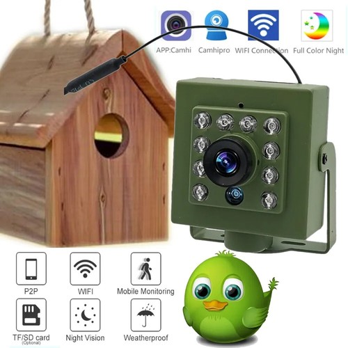 Green wifi bird box camera - bird,