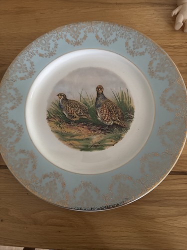 Vintage game bird - game, design