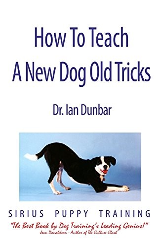 How teach new dog - dog, old