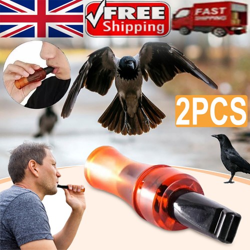 Outdoor crow rook call - 2x,