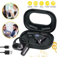 Translator Earphones W/