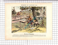 Isaac Newton Apple Tree  -