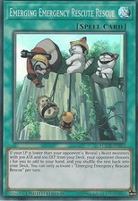 YU-GI-OH: EMERGING EMERGENCY