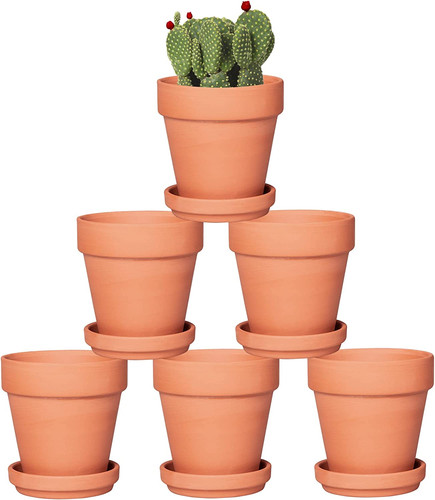Inch terracotta pots - terracotta,