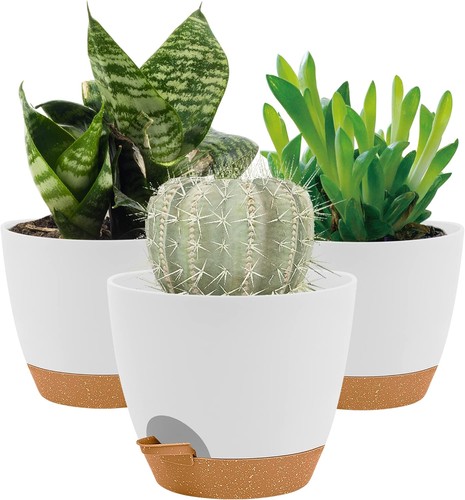 20cm plant pots indoor self - 20cm,