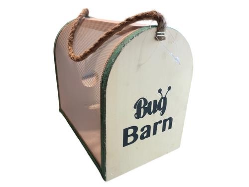 Strong handmade wooden bug - strong,