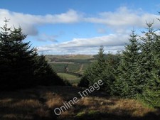 Photo 6x4 forest ride - forest,