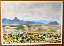 Kalahari Desert "Near and Far"