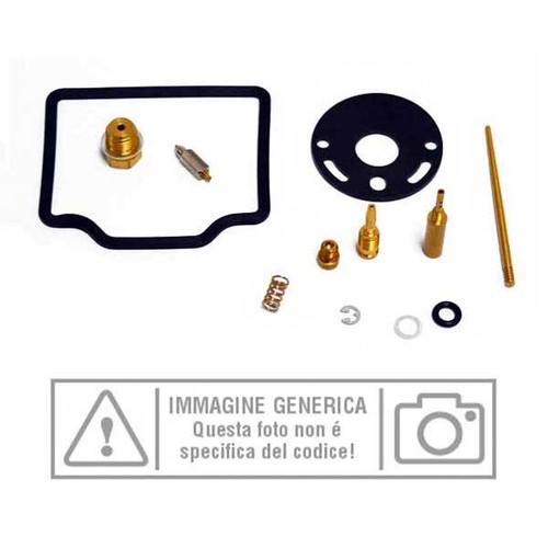 Carburetor kit 4170205 - kit,