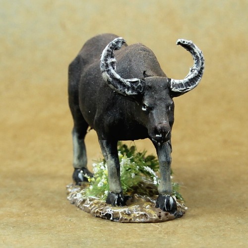 Animal asian water buffalo - animal,