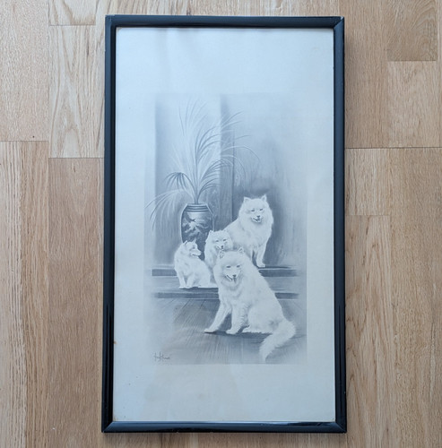 Herbert wynn hellings dog - herbert,