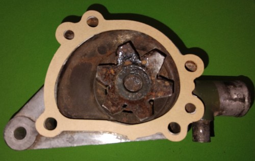 Water pump gasket 1275cc - pump,