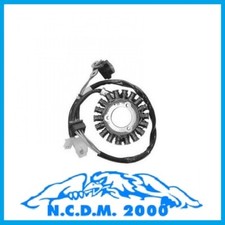 FLYWHEEL MAGNET STATOR PGO